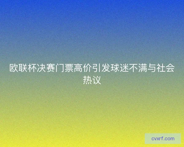 欧联杯决赛门票高价引发球迷不满与社会热议